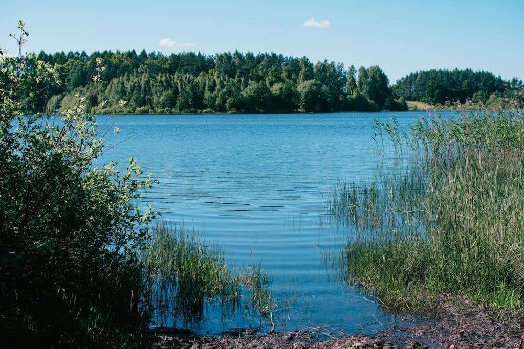 Trojmiasto Nad Jeziorem Dom -Echochata Kamień Extérieur photo